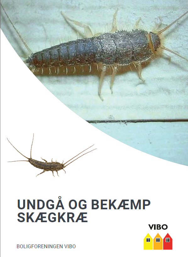Skærmbillede 2025 05 27 085909