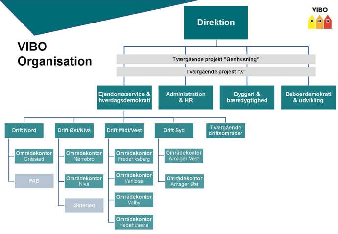 VIBOs organisering
